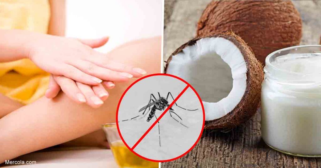 11 14 Coconut Oil Bug Repellent Fb