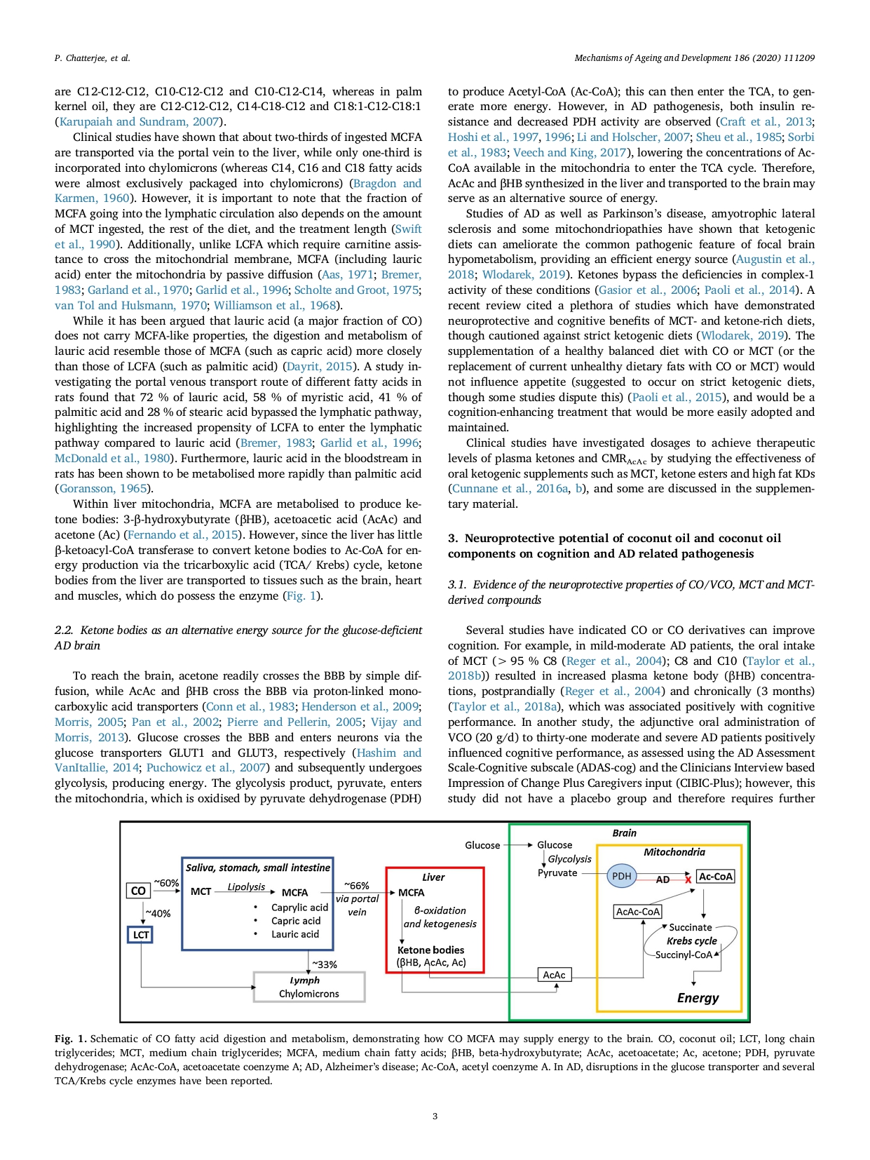 Study About Alzheimers Page 0003